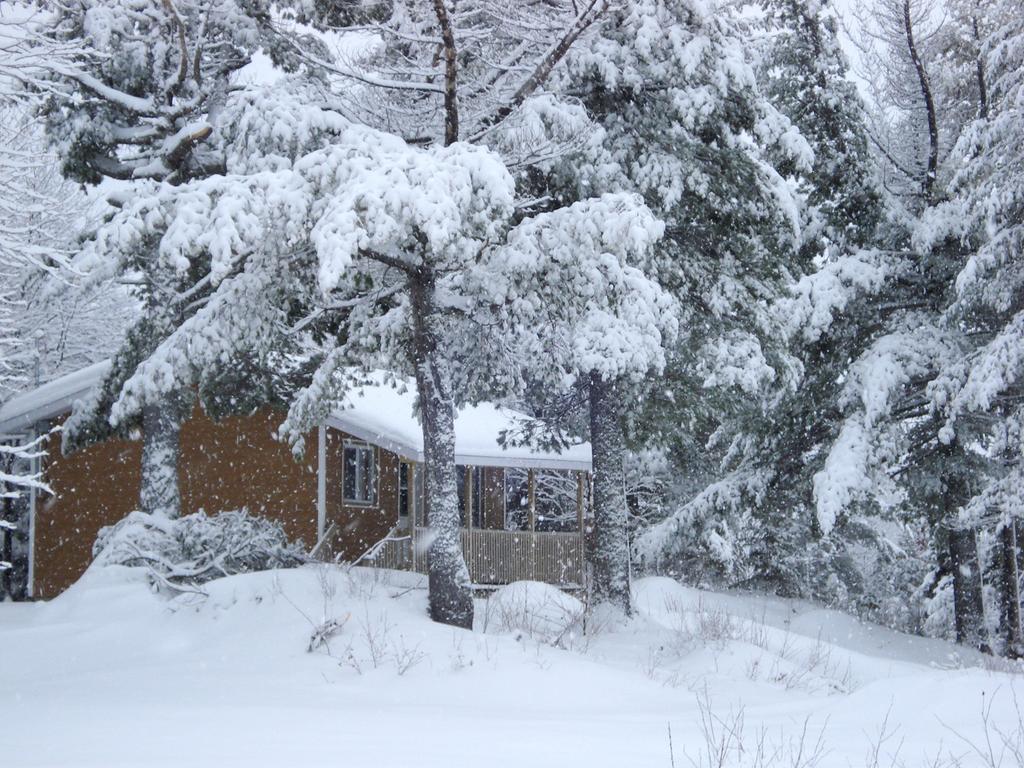 Auberge La Taniere Tadoussac Exterior photo